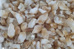 WhatsApp-Image-2019-07-09-at-11.01.54-AM-1