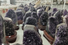 WhatsApp-Image-2019-07-09-at-11.01.59-AM-2