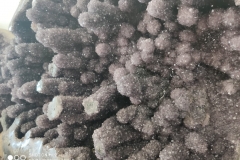 WhatsApp-Image-2019-07-09-at-11.02.00-AM-2