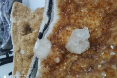 WhatsApp-Image-2019-07-09-at-11.02.00-AM-3