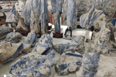 WhatsApp-Image-2019-07-09-at-11.02.00-AM