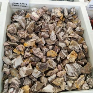Zebra Jasper