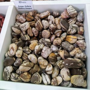 Zebra Jasper